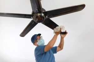 ceiling fan cleaning troy il