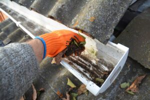 Gutter cleaning service Troy IL
